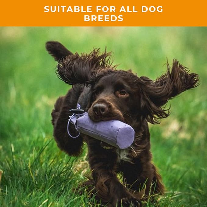 Dog & Field Puppy Training Dummies. 3.5oz Canvas Training Dummy for Hunting Dogs & Puppy Training. Dog Retriever Training Dummy, Dog Training Bumper, Hunting Dog Accessories, Water Float Dummy