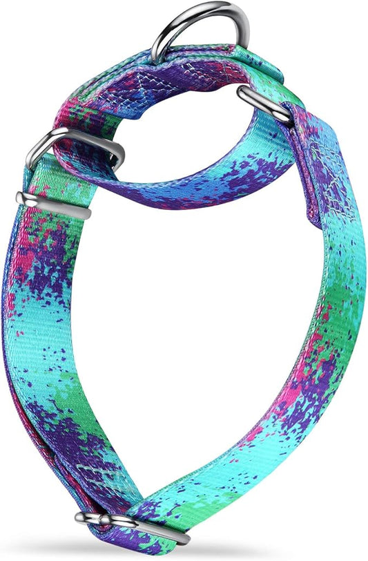 Martingale Dog Collar Escape-Proof for Training - No-Buckle, Durable Polyester Design for Medium Breeds (Ecological Oasis, M)