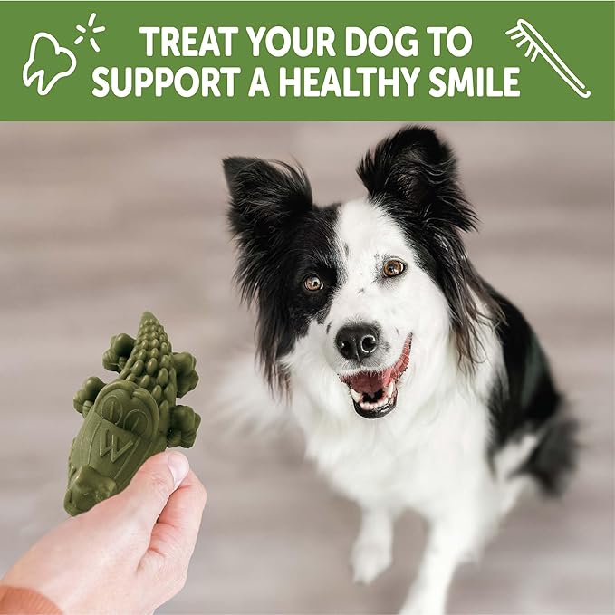 Whimzees Wellness Alligator Dog Dental Treats, Medium Size, (12 Count)