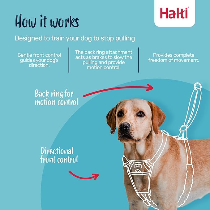 Halti No Pull Harness - Stop Your Dog Pulling on The Leash. Adjustable, Lightweight and Easy to Use. Reflective Dog Training Harness for Toy and Small Dogs (Size XS, Burnt Orange)