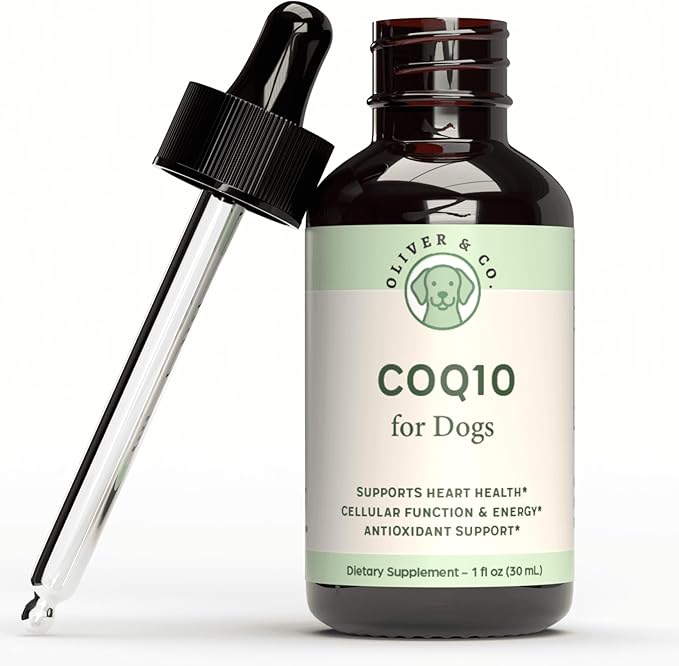 CoQ10 for Dogs - Coenzyme Q10 for Dogs - Heart, Joint & Cardiovascular Support - Dog Heart Supplements - Dog Hip & Joint Care - 1 fl oz