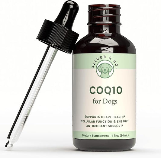 CoQ10 for Dogs - Coenzyme Q10 for Dogs - Heart, Joint & Cardiovascular Support - Dog Heart Supplements - Dog Hip & Joint Care - 1 fl oz
