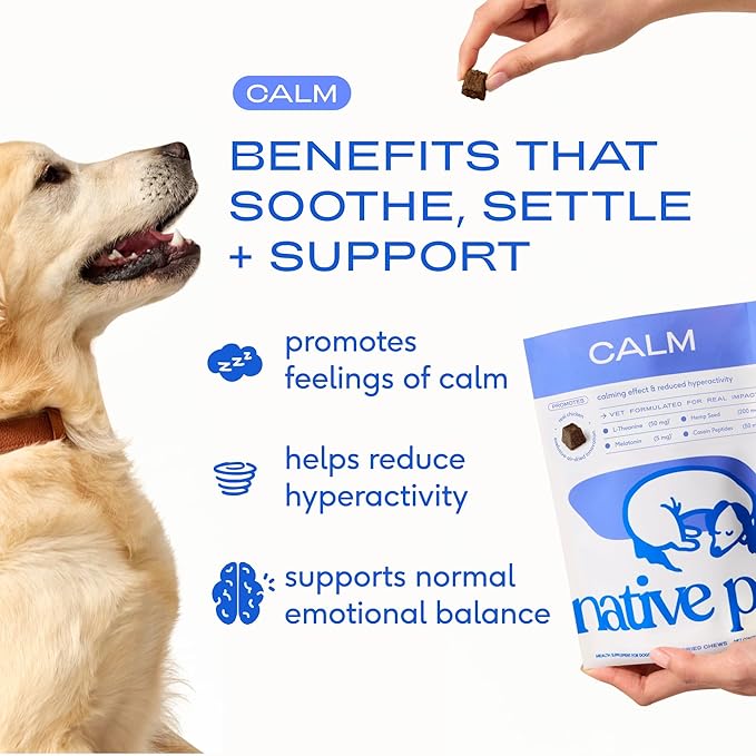 Native Pet Calming Chews for Dogs Medium Breed - Promotes Calming Effect, Supports Emotional Balance & Reduces Hyperactivity - Hemp Seed, Melatonin for Dogs, L-Theanine & Casein - 30 Days Supply