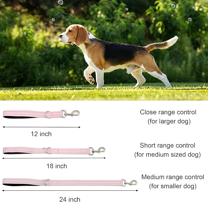 Standard Training Leashes 12 Inches for Dogs, Short Traffic Dog Leash Heavy Duty Padded Handle, Nylon Anti Pull for Reflective, Short Line Dog for Small, Medium and Large Dogs 1 FT Pink