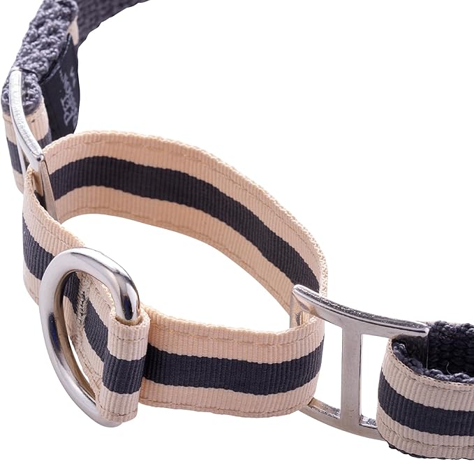 Remy II - The Recycled Ribbon Martingale Adjustable Collar No-Pull Pet Training Collars Dogs, Black Sand, Small