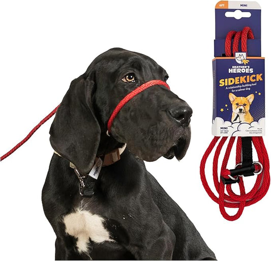 Heather's Heroes The Sidekick No-Pull Leash, Red, Mini