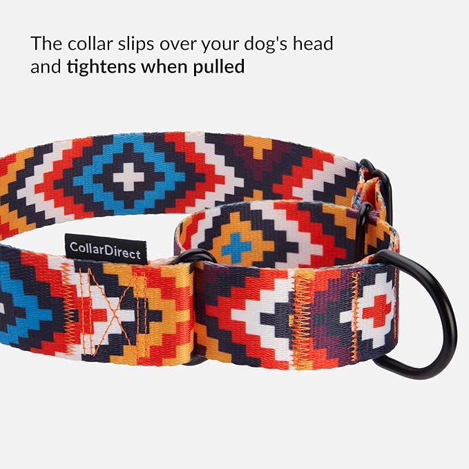 CollarDirect Aztec Martingale Collars for Dogs Heavy Duty Tribal Pattern Safety Nylon Training Collar Large Medium Small (Aztec, L, Neck Size 15"-20")