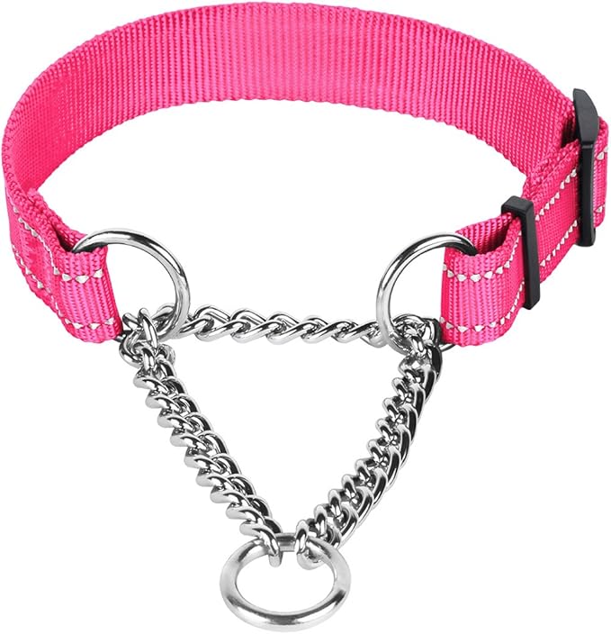 CollarDirect Martingale Dog Collar Training Adjustable Stainless Steel Chain Reflective Nylon Pet Collars for Medium Large Dogs (S, Neck Fit 12"-18", Pink)