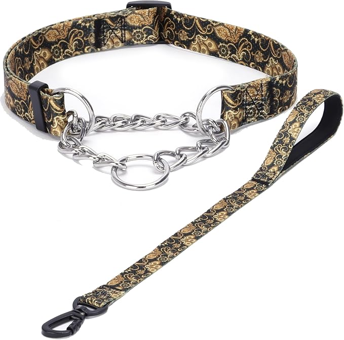 Martingale Dog Collar with Stainless Steel Chain - Limited Chain Cinch Training Collar for No Pull Training Dog - Flower Multicolor Cute Patterns - Premium No Slip Collar (M, Gold Set)