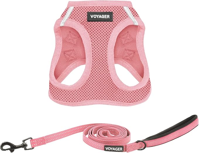 Best Pet Supplies Voyager Step-in Air All Weather Mesh Harness and Reflective Dog 5ft Leash Combo with Neoprene Handle, for Small, Medium and Large Breed Puppies - Set (Pink), XXX-Small