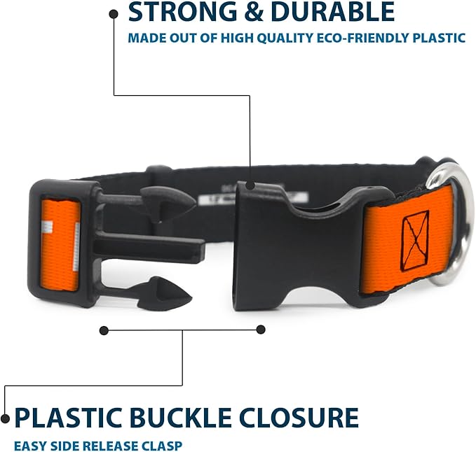 Buckle-Down Dog Collar Plastic Clip Pet Quote Do Not Pet Orange White 18 to 32 Inches 1.5 Inch Wide