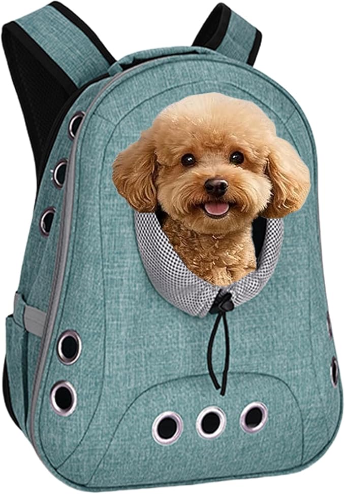 Pet Dog Backpack Carrier Small Doggy Front Backpack,Large Space Cat Carrier Backpack,Ventilated for Hiking,Camping,Travel,Suitable for Shopping and Vet,Max 12 lbs(Cyan)