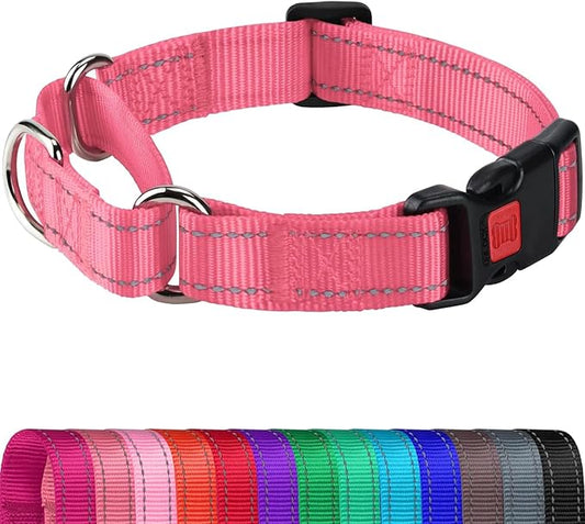 Joytale Martingale Collar for Dogs, Reflective Heavy Duty for Safety, Quick Release Buckle, Adjustable Nylon Collars for Medium Dogs Walking Training, Neon Pink, M