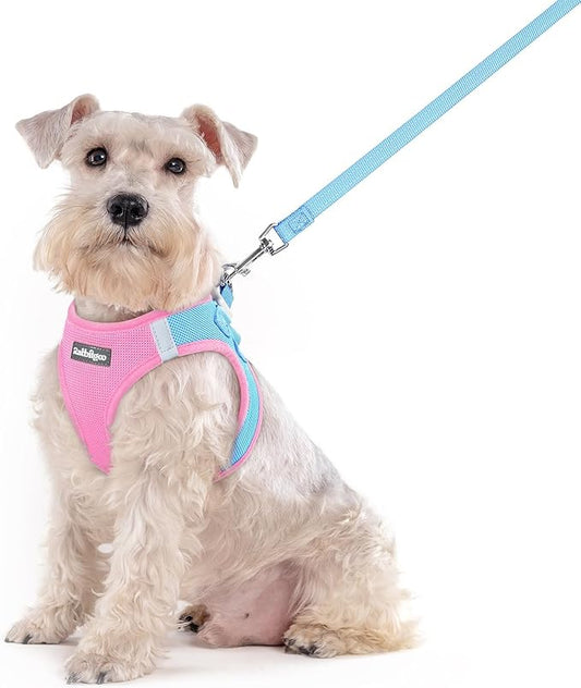 rabbitgoo Dog Harness Medium Sized and Leash Set, Step in Soft Light Puppy Vest, Breathable Mesh Pet Harness, Reflective for Safe Easy Walking, Blue & Light Pink XXL