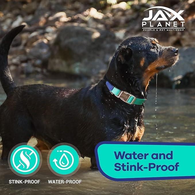 Jelly Waterproof Martingale Dog Collar, No Pull Nylon Collar with Alloy Metal Buckle & D-Ring for Outdoor Training and Walking, Anti Pull, Escape Free, One Time Adjustment - Turquoise & Blue, XL