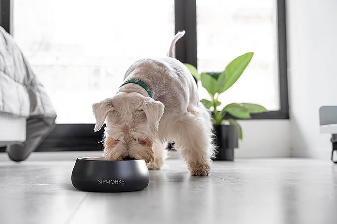 Sipworks Stainless Steel Dog Bowl – 32oz Weighted Metal Food and Water Bowls for Dogs and Cats with Non-Slip Base - Pet Bowls for All Breeds Sizes for Travel & Outdoor Play | Azure