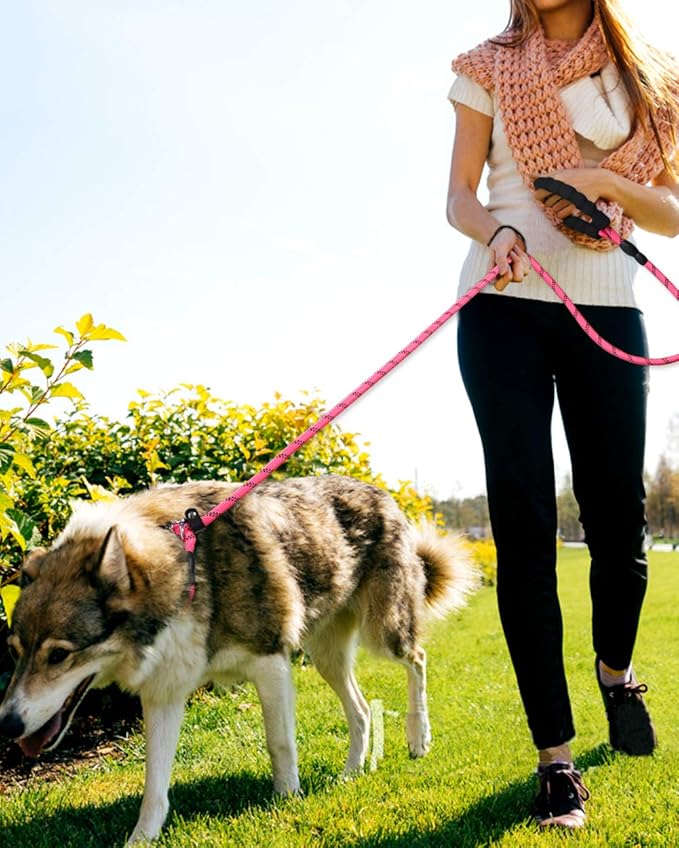 TagME Slip Leads for Dogs that Pull, 6 FT No-Pull Training Leash with Lock, Escape-Proof Design, Reflective & Padded Handle for Large Dogs, Pink