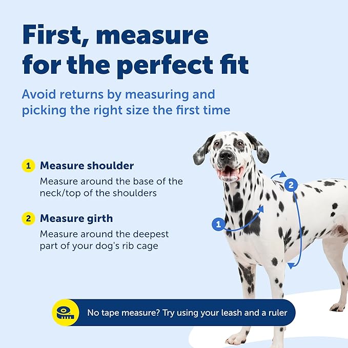 PetSafe 3-in-1 Harness - Comfortable Easy-Walk Dog Chest Harness with Front Leash Attachment to Reduce Pulling, Choking & Gagging - Dog Obedience Gear - Small - Teal