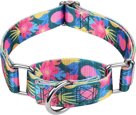 Mikivery Martingale Collar 1 inch Slip On and Off,NO Buckle Gently Tightens Medium and Large Collars