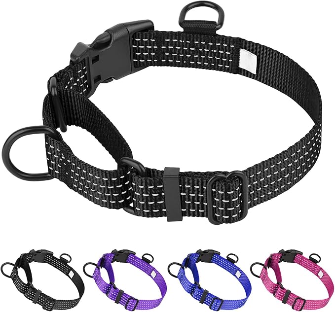 Martingale Dog Collars, Adjustable Reflective Nylon Dog Collar for Training Dogs, No Pull Dog Choker Collar for Medium Large Dogs (M, Black)