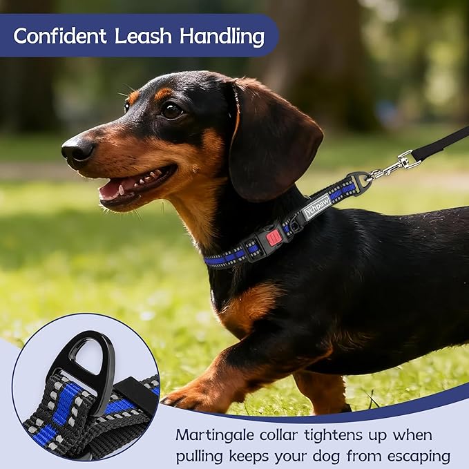 Martingale Collar for Dogs Reflective Collar with Quick Release Buckle, Adjustable Nylon Collars for No Slip Dog Collar, Blue, S