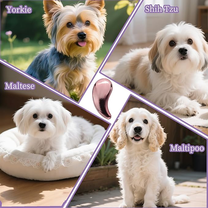 Comma-Shaped Small Dog Brush, Fit for Yorkie, Shih Tzu, Maltese Maltipoo Pomeranian - Gentle Soft Bristles for Effortless Pet Hair Removal, Puppy Essentials (Electroplating Purple)