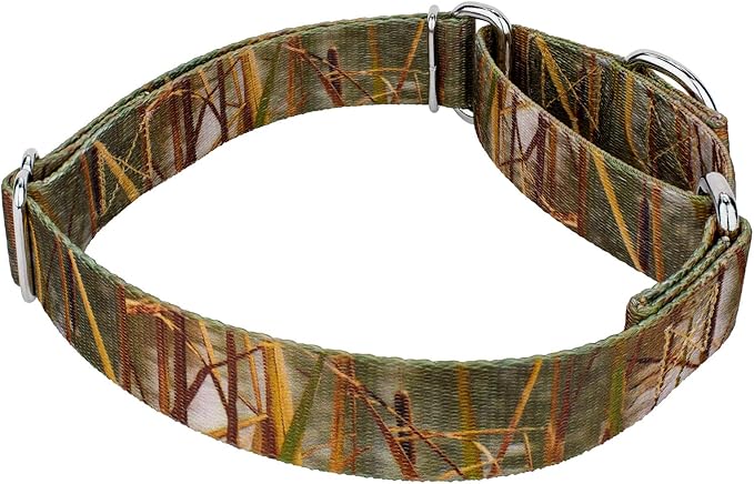 Country Brook Petz - Waterfowl Camo Martingale Dog Collar - Camouflage Collection Featuring Rugged Designs (1 Inch, Large)
