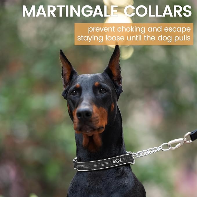 ANDA Martingale Collar for Dogs, Adjustable with Reflective Stainless Steel Chain, No-Pull Escape-Proof Training Collar for Medium and Large Breeds (Black, Medium)