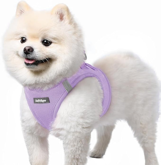 rabbitgoo Small Dog Harness, Step-in Soft Mesh Puppy Vest with Safety Buckle, Breathable Reflective Pet Harness for Small Sized Dogs, Light Purple S