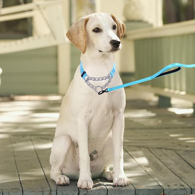 Martingale Dog Collar with Stainless Steel Chain and Leash Set, Martingale Collar with Reflective, 5FT Double Handle Dog Leash Padded, Adjustable for Medium Large Dogs (M, Light Blue)