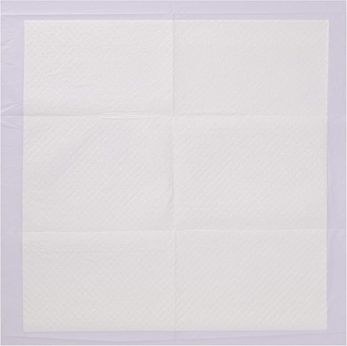 Wags & Wiggles Training Pads for Dogs - Super Absorbent Puppy Pee Pads - Way to Keep Your Home Clean and Train Your Dog and Puppy, 21"x 21" - 50 Count
