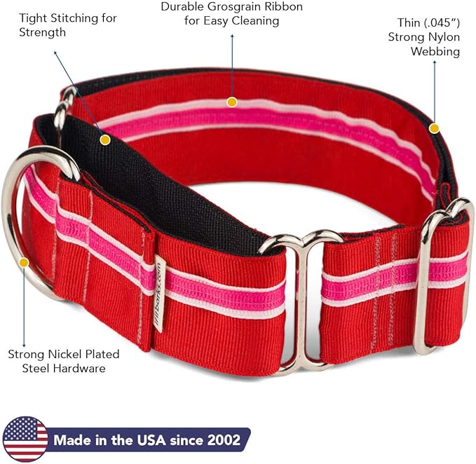 If It Barks - 1.5" Martingale Collar for Dogs - Adjustable - Nylon - Strong and Comfy - Ideal for Training - Made in USA - Custom, Shortcake