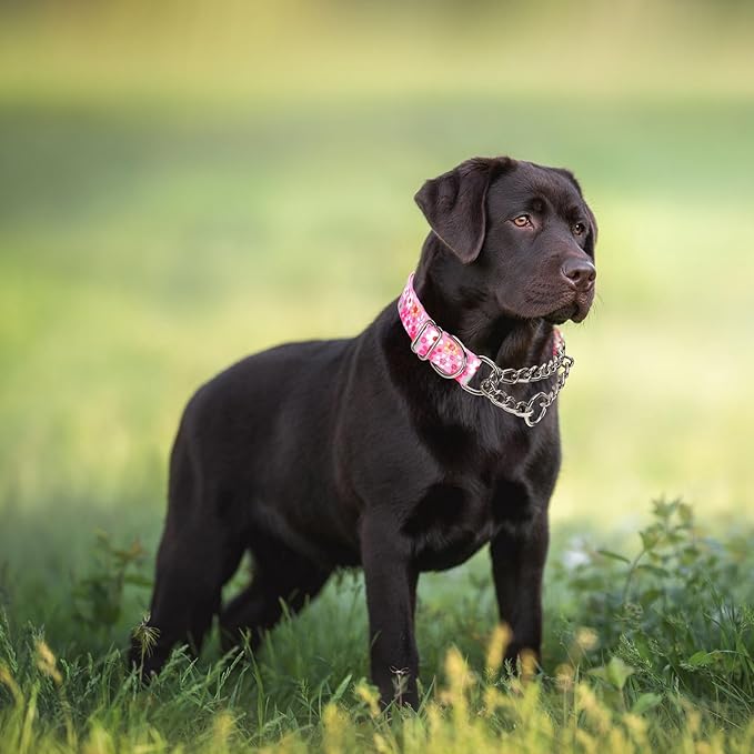 Stainless Steel Chain Martingale Dog Collar, No Pull Slip Cinch Choker Choke Collar Training Escape Proof Heavy Duty Dog Collar for Small Medium Large Pet Girl Female Dogs, Pink Floral L