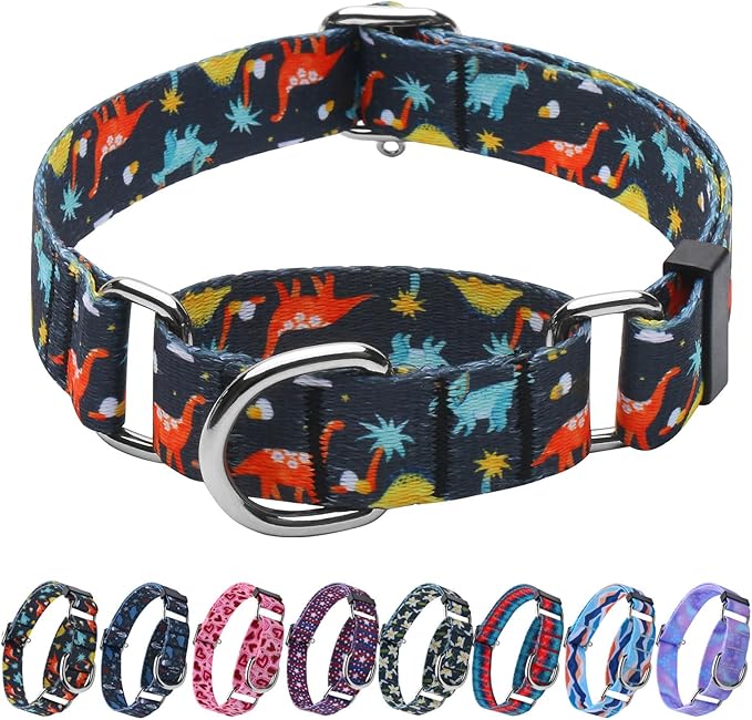 Hikiko Martingale Collar for Dogs with No Buckle Boy Male No Pull Dog Collars for Extra Small Dogs,Dinosaur,XS