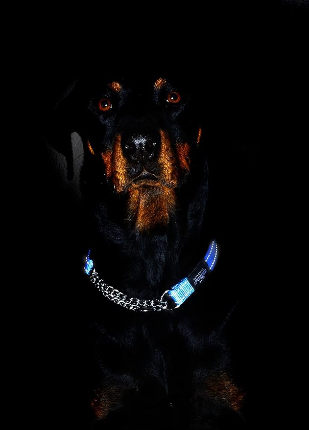 Reflective Nylon Choke Collar; Slip Show Obedience Training Gentle Choker for Medium Dogs, Turquoise