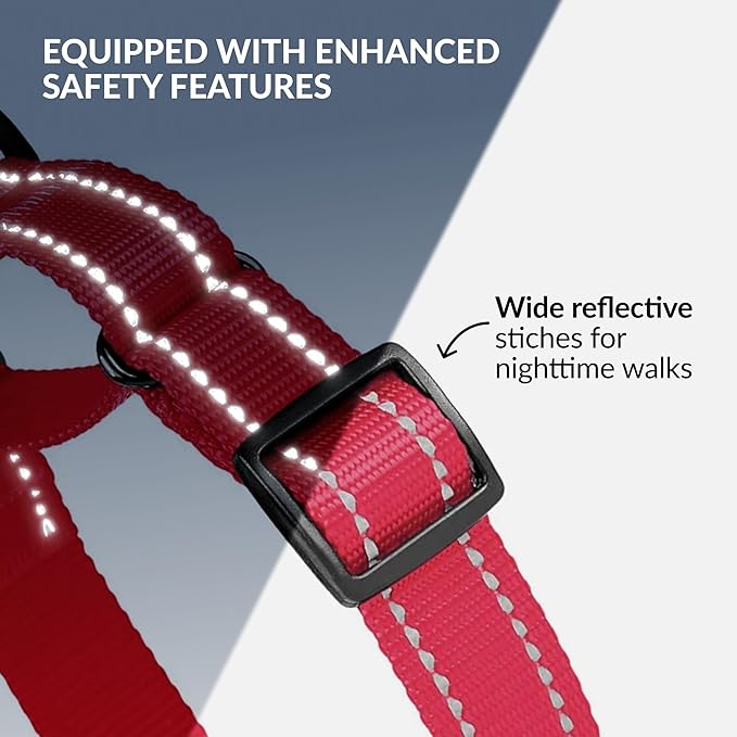 CollarDirect Reflective Martingale Dog Collar Nylon Heavy Duty Training Pet Collars for Small Medium Large Dogs Puppy Black Blue Mint Green Red Pink Purple Dark Red (M, Neck Size 13"-18", Pink)