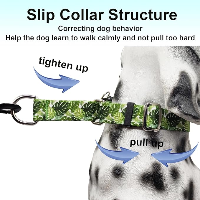 Martingale Collar for Dogs with Buckle Adjustable Nylon Tropical Slip No Pull Training Dog Collars (Palm Leaf, Large)