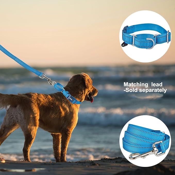Reflective Martingale Collar for Dogs with Quick Snap Buckle Anti-Pull Nylon Safe Slip Collars for Easy Walking,Blue,Large