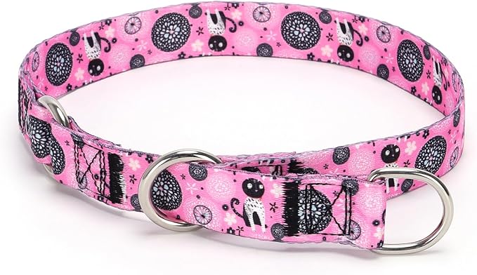 Training Dog Collar, No Pull Martingale Collar, Slip Collar with Slidable Stop Ring for Small, Medium, Large Dogs (NO7, L)