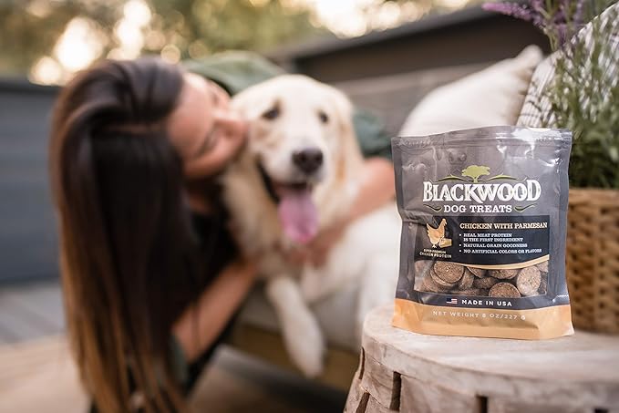 Blackwood Oven Baked Dog Treats, Chicken with Parmesan, 8 Ounce Pouch, Training Treats for All Life Stages and Breed Sizes (Pack of 2)