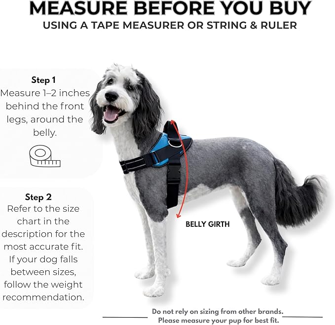 ShawnCo Essential Dog Harness, No-Pull Pet Vest with 3 Leash Clips, No Choke, Reflective, Adjustable and Padded, for Easy Walking and Training for Small, Medium and Large Dogs (Electric Blue,S)