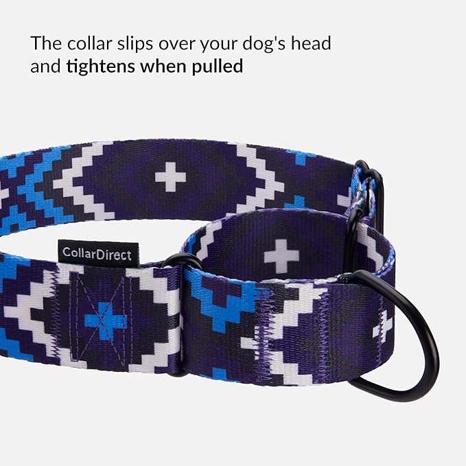 CollarDirect Aztec Martingale Collars for Dogs Heavy Duty Tribal Pattern Safety Nylon Training Collar Large Medium Small (Ethnic, XL, Neck Size 19"-24")