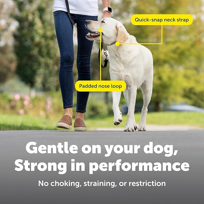 PetSafe Gentle Leader Headcollar No-Pull Dog Collar - Helps Improve Walks - Durable Nylon Construction - Padded Nose Loop - Adjustable Fit - Comfort Walking Halter - Petite, Black