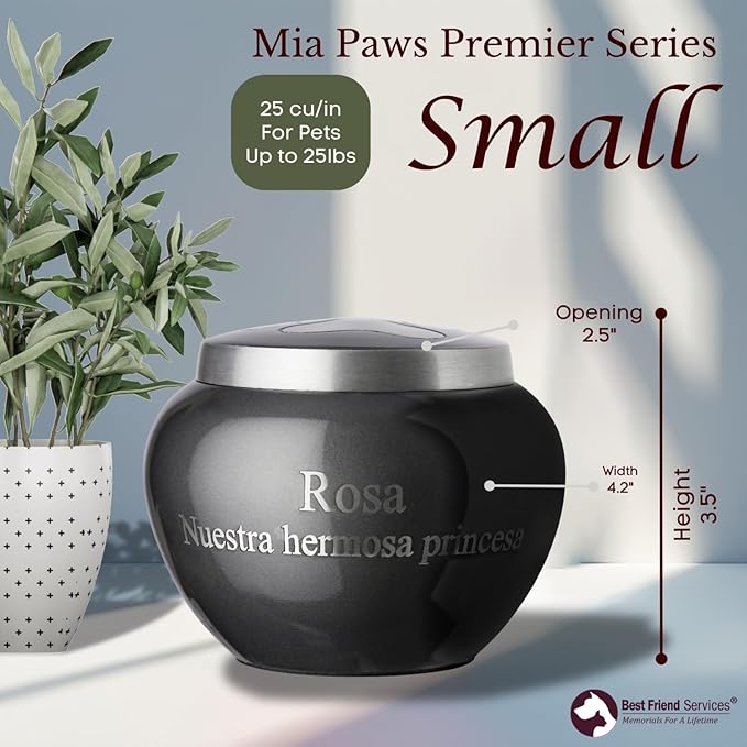 Mia Paws Premier Series Pet Urn for Dogs and Cats with Personalized Laser Engraving (Small - Pets up to 20 lbs, Slate, Single Pewter Paw)