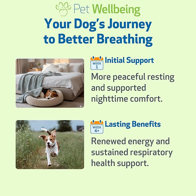Pet Wellbeing Respir-Gold for Dogs - Lower Respiratory Support, Holistic Lung Health & Deep Breathing with Black Cumin & Horehound - NASC Certified & Vet Formulated - 4 fl oz (118 ml)
