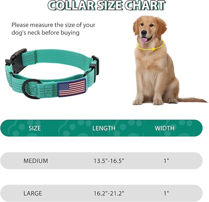 Martingale Dog Collar Quick Release Buckle No Pull Reflective Non-Slip for Medium Large Dogs Training (Teal, Large)
