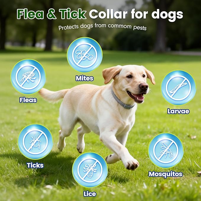 Flea and Tick Collar for Dogs, 5 Packs Flea Collar for Dogs with Natural Essential Oils, Waterproof & Adjustable Flea and Tick Prevention Collar for Small Medium Large Dogs & Puppies, Grey
