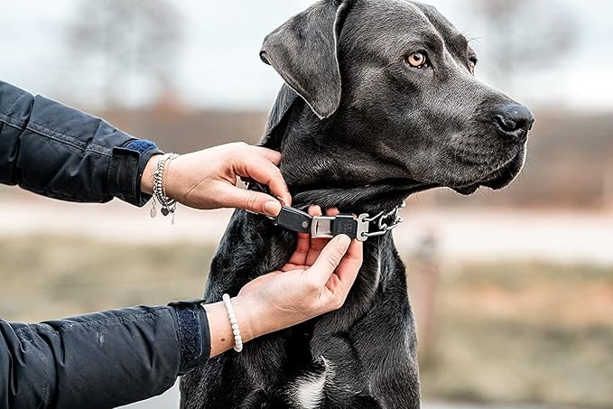 Herm Sprenger Dog Training Prong Collar with Quick Release Cliclock Buckle, 3 Extra Links, 30 Comfort Tips - Stainless Steel No-Pull Collar with Swivel Ring for Medium Large Dogs, Made in Germany