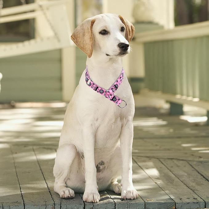 No Pull Martingale Collar with Slidable Stop Ring for Small, Medium, Large Dogs (NO7, M)