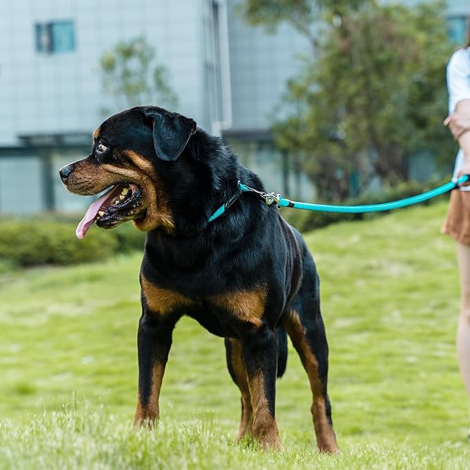 Dog Leash, Braided Rope Traction – Walking Training Lead for Medium/Large Dogs ((1/2") x 2FT, Light Blue)